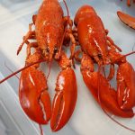 Acadian Supreme Fish Retail